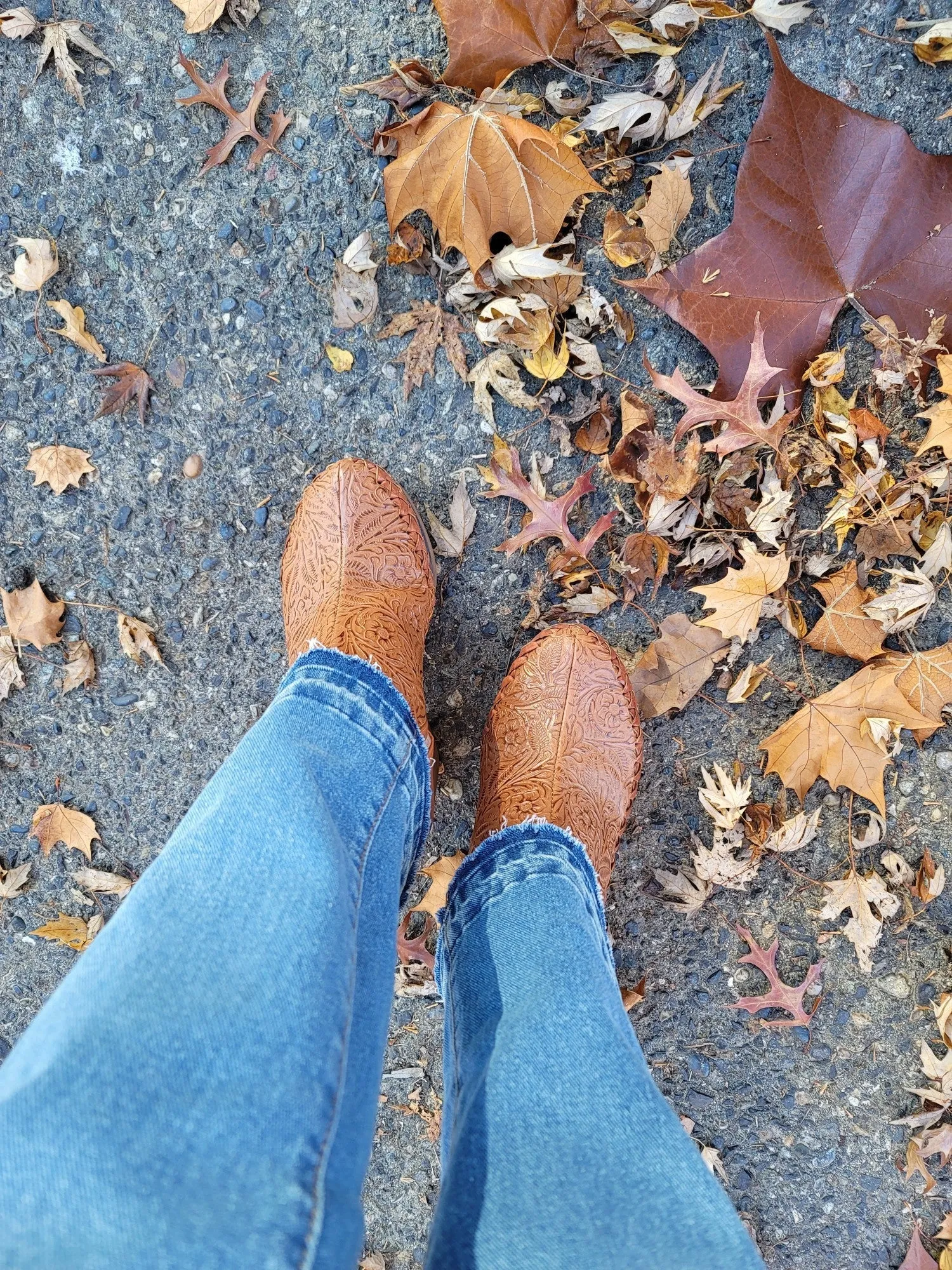 Sunshine ankle boots